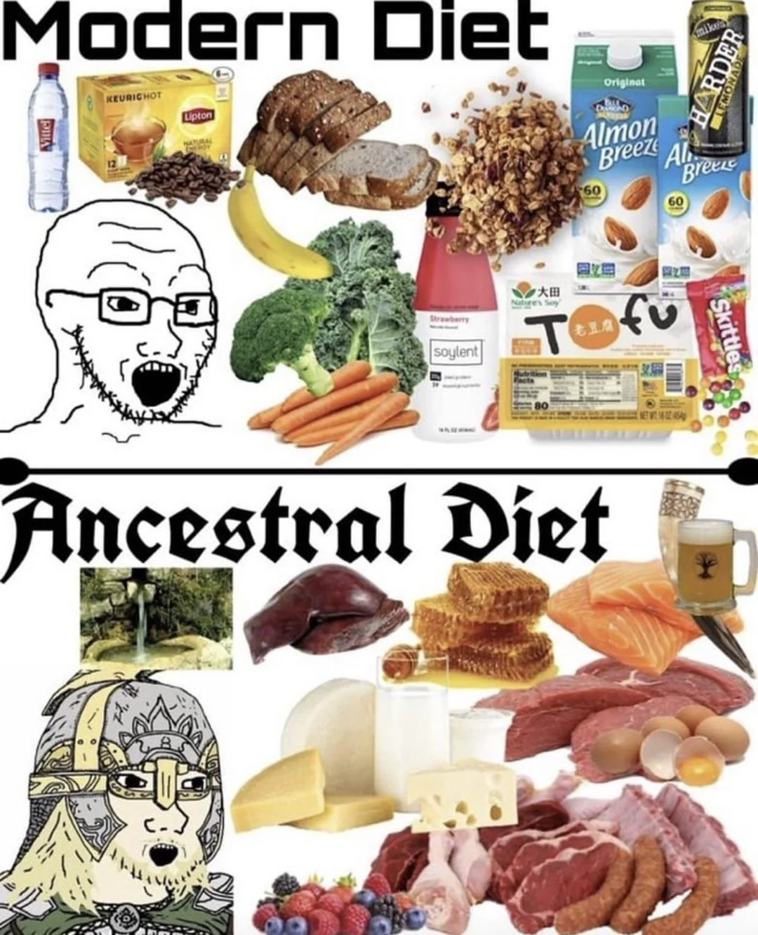 modern diet & ancestor's diet