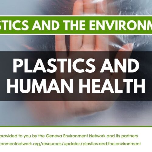 Plastics in human body