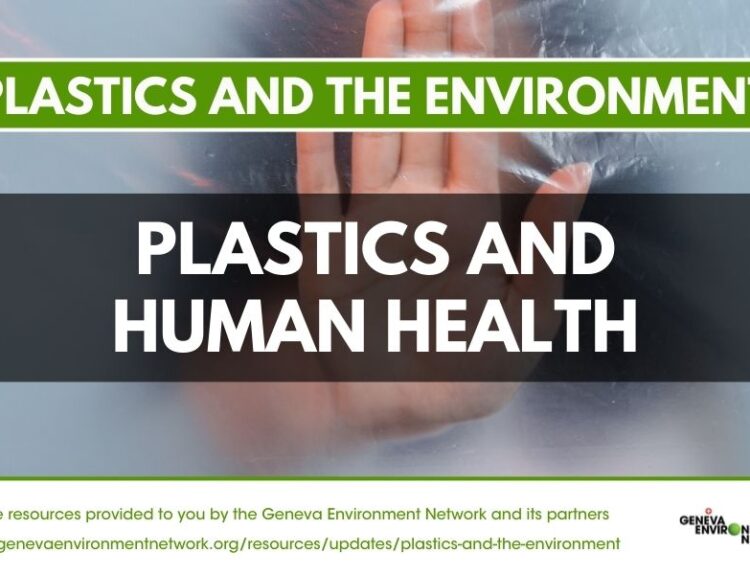 Plastics in human body