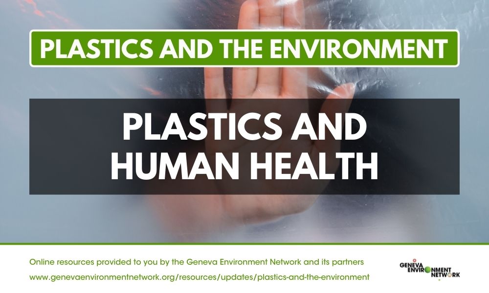 Plastics in human body