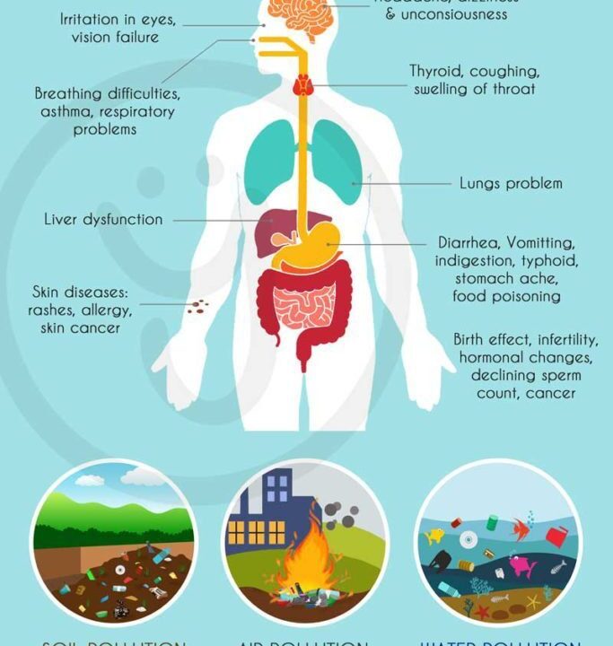 Plastic Bioaccumulation