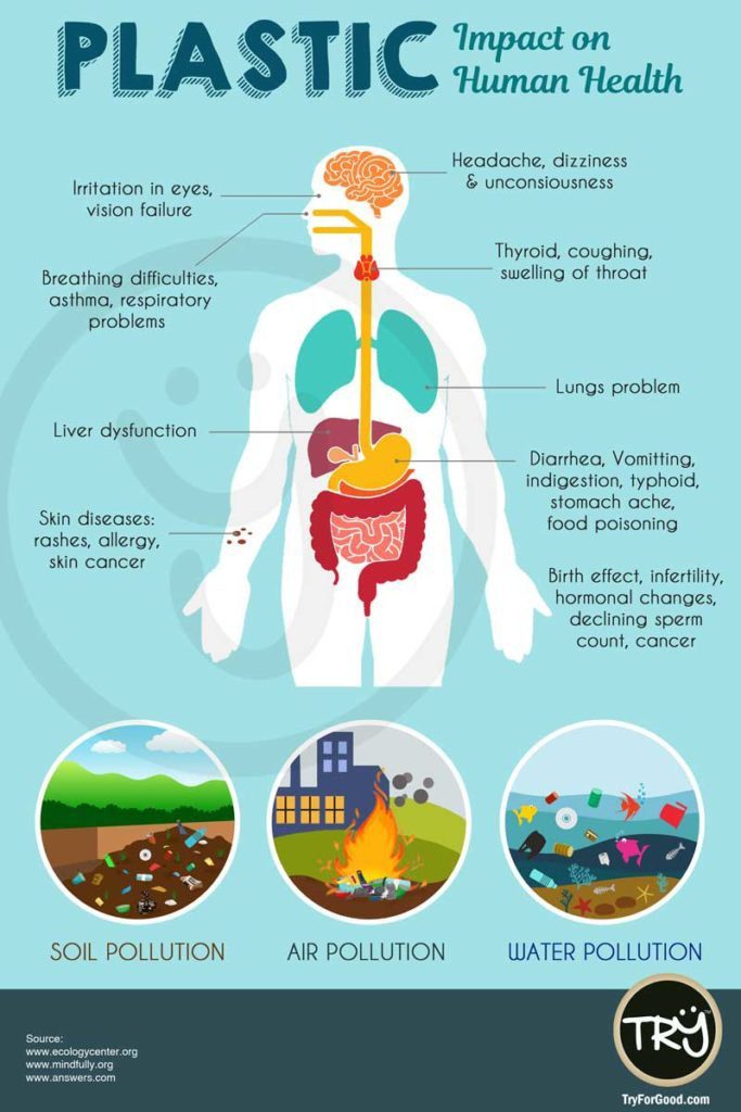 Plastic Bioaccumulation