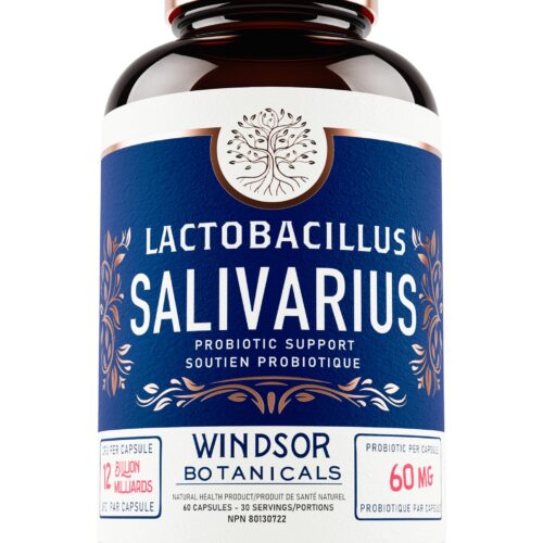 Lactobacilli and bad breath