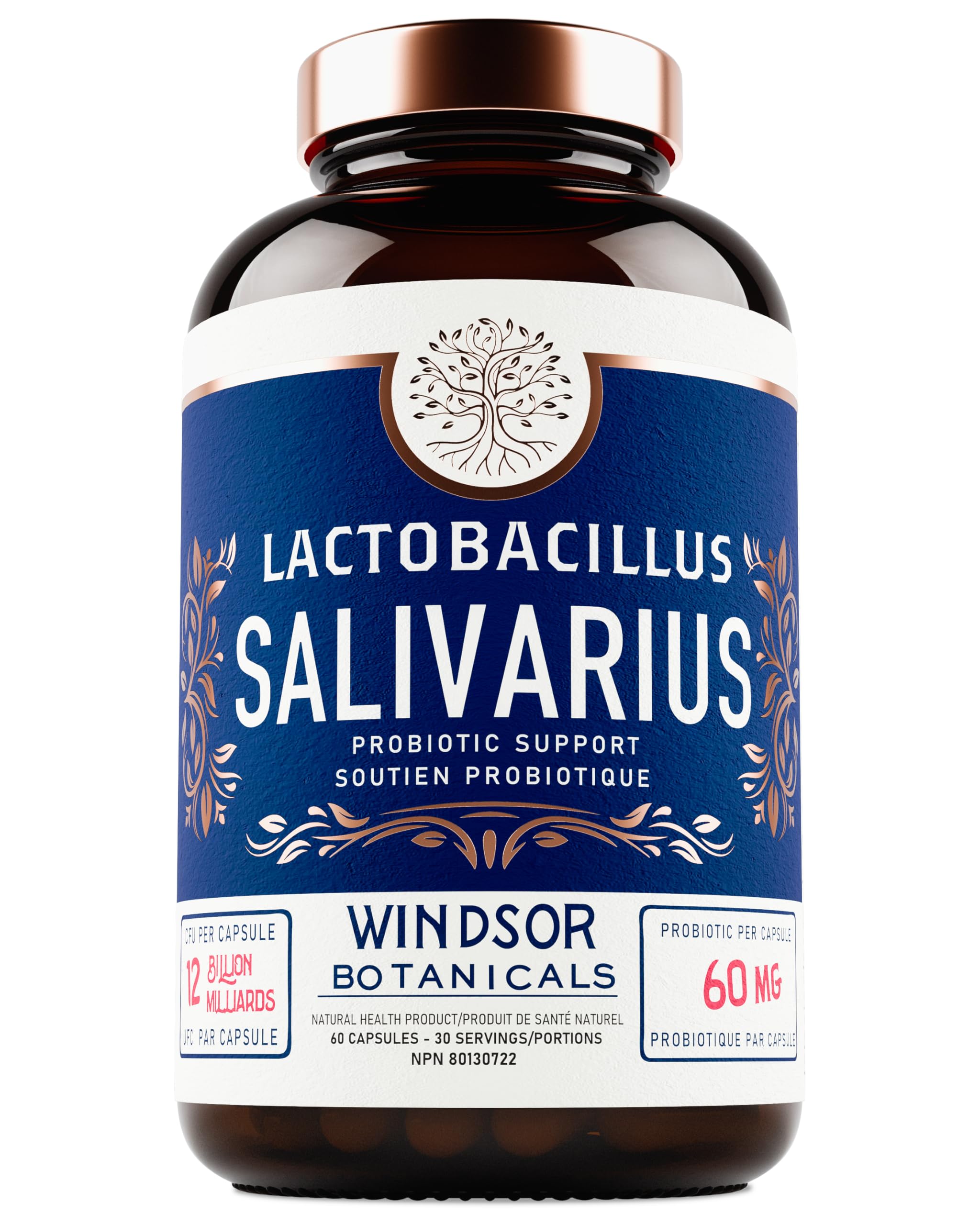 Lactobacilli and bad breath