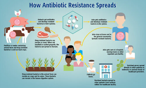 antibiotic resistance..